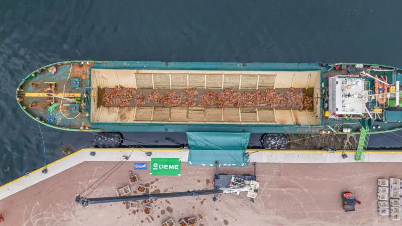 DEME-transporting-oyster-reefs