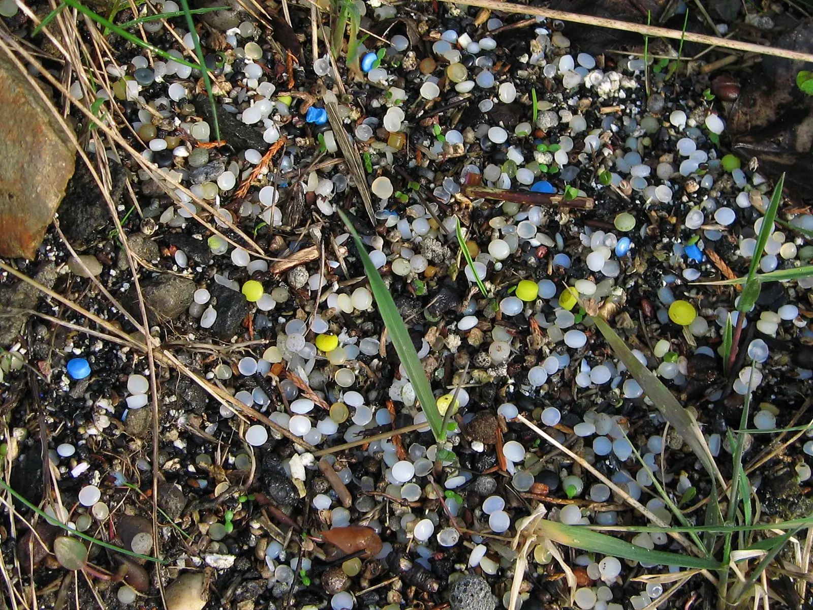Nurdles