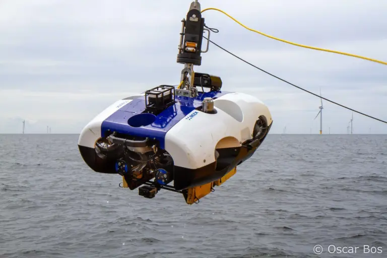 BeeX Autonomous Systems