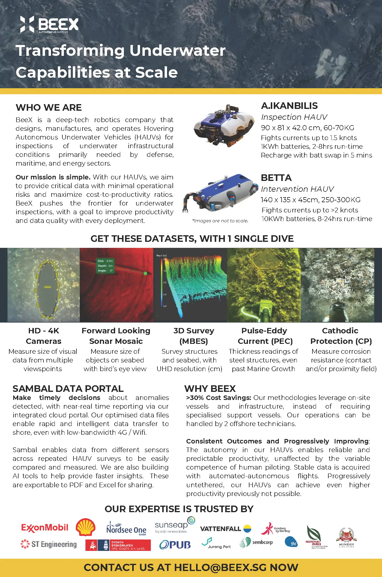 BeeX Capabilities Statement