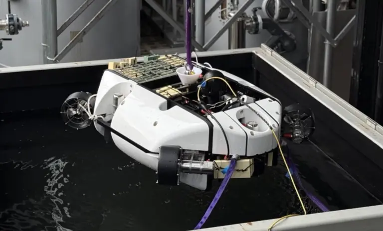 BeeX Autonomous Systems