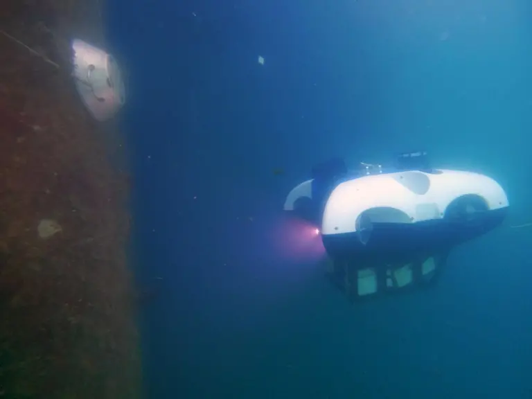 BeeX Autonomous Systems