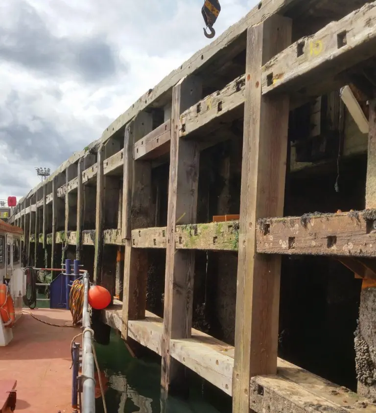 Timber jetty maintenance and refurbishment